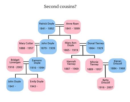 The History of Cousins.